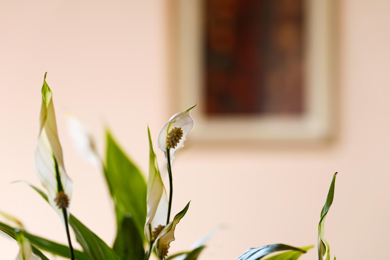 Il Castellaro Bed & Breakfast Borghi Екстериор снимка